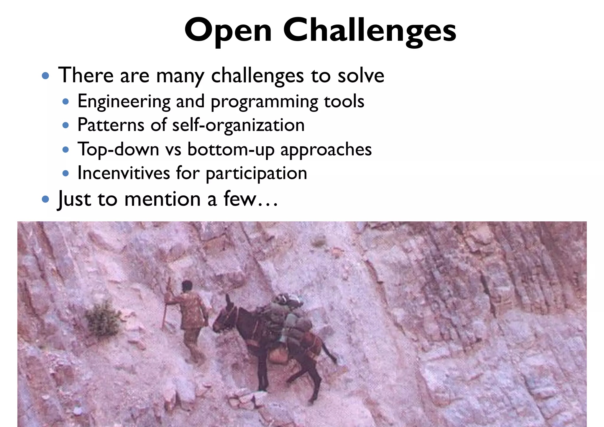 Open Challenges
!  There    are many challenges to solve
  !  Engineering and programming tools
  !  Patterns of self-organization
  !  Top-down vs bottom-up approaches
  !  Incenvitives for participation
!  Just   to mention a few…
 