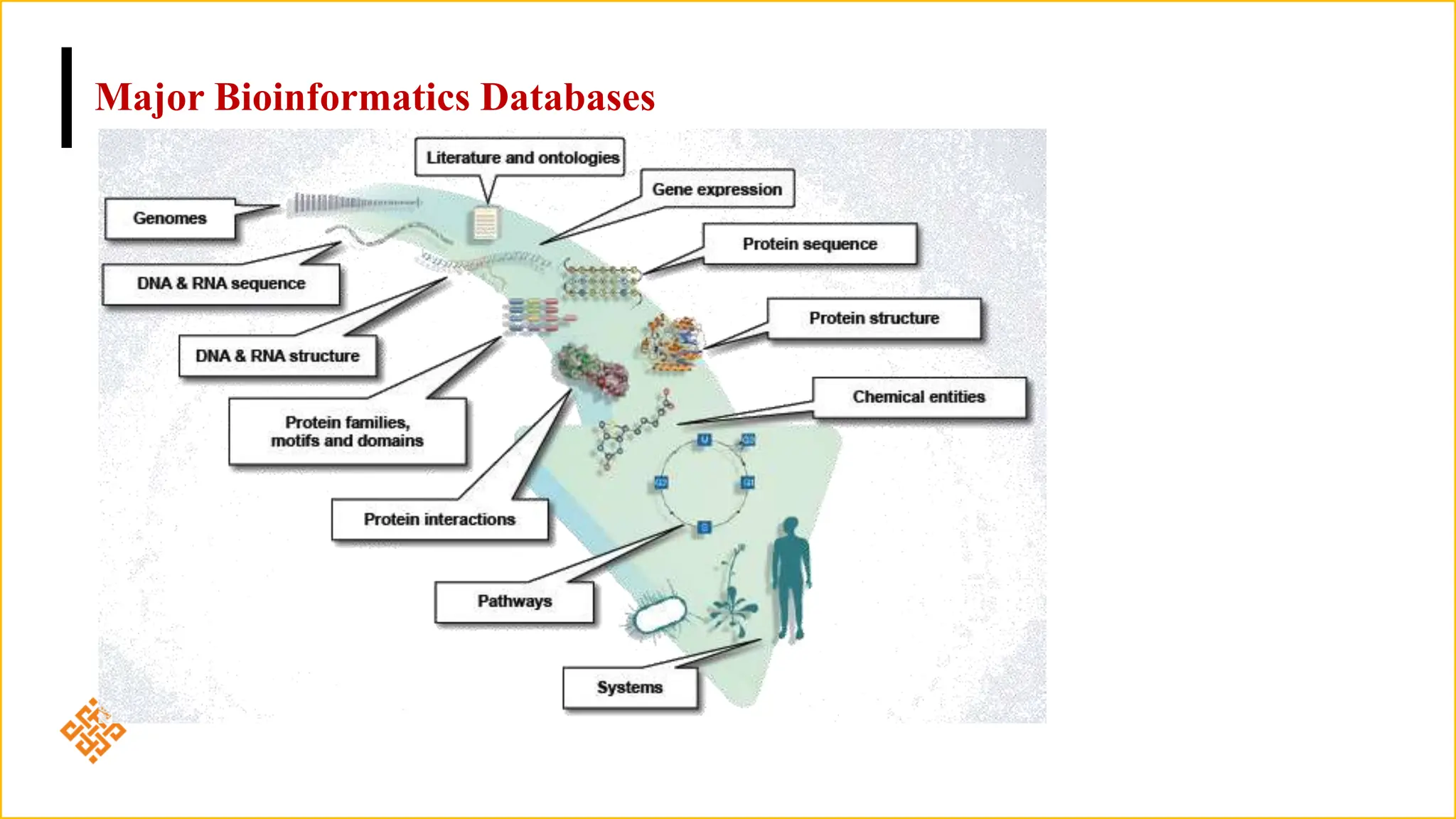 Major Bioinformatics Databases
 