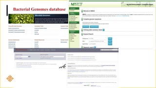 Bacterial Genomes database
 