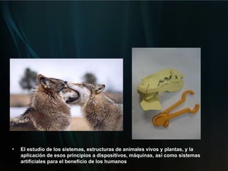 El estudio de los sistemas, estructuras de animales vivos y plantas, y la aplicación de esos principios a dispositivos, máquinas, así como sistemas artificiales para el beneficio de los humanos   