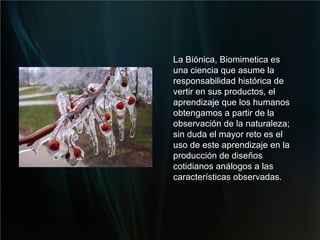 La Biónica, Biomimetica es una ciencia que asume la responsabilidad histórica de vertir en sus productos, el aprendizaje que los humanos obtengamos a partir de la observación de la naturaleza; sin duda el mayor reto es el uso de este aprendizaje en la producción de diseños cotidianos análogos a las características observadas. 