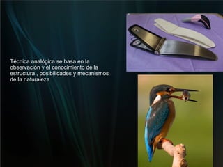 Técnica analógica se basa en la observación y el conocimiento de la estructura , posibilidades y mecanismos de la naturaleza 