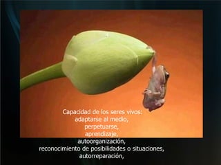 Capacidad de los seres vivos: adaptarse al medio,  perpetuarse,  aprendizaje,  autoorganización,  reconocimiento de posibilidades o situaciones,  autorreparación,   