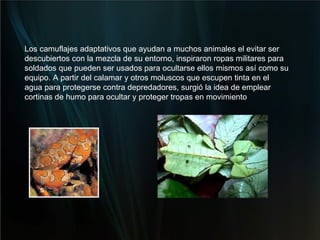 Los camuflajes adaptativos que ayudan a muchos animales el evitar ser descubiertos con la mezcla de su entorno, inspiraron ropas militares para soldados que pueden ser usados para ocultarse ellos mismos así como su equipo. A partir del calamar y otros moluscos que escupen tinta en el agua para protegerse contra depredadores, surgió la idea de emplear cortinas de humo para ocultar y proteger tropas en movimiento 