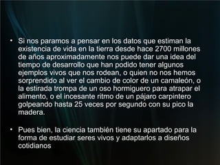Si nos paramos a pensar en los datos que estiman la existencia de vida en la tierra desde hace 2700 millones de años aproximadamente nos puede dar una idea del tiempo de desarrollo que han podido tener algunos ejemplos vivos que nos rodean, o quien no nos hemos sorprendido al ver el cambio de color de un camaleón, o la estirada trompa de un oso hormiguero para atrapar el alimento, o el incesante ritmo de un pájaro carpintero golpeando hasta 25 veces por segundo con su pico la madera. Pues bien, la ciencia también tiene su apartado para la forma de estudiar seres vivos y adaptarlos a diseños cotidianos  