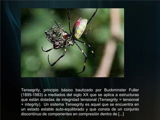 Tensegrity, principio básico bautizado por Buckminster Fuller (1895-1983) a mediados del siglo XX que se aplica a estructuras que están dotadas de integridad tensional (Tensegrity = tensional + integrity).  Un sistema Tensegrity es aquel que se encuentra en un estado estable auto-equilibrado y que consta de un conjunto discontinuo de componentes en compresión dentro de [...] 