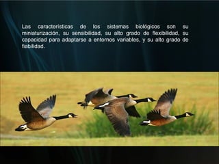 Las características de los sistemas biológicos son su miniaturización, su sensibilidad, su alto grado de flexibilidad, su capacidad para adaptarse a entornos variables, y su alto grado de fiabilidad.  