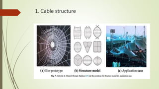 Bionic architecture | PPTX