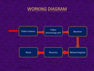 WORKING DIAGRAM
Video Camera
Video
processing unit Receiver
Retinal ImplantNeuronsBrain
ECE Dept. M.I.T. Manipur 14
 