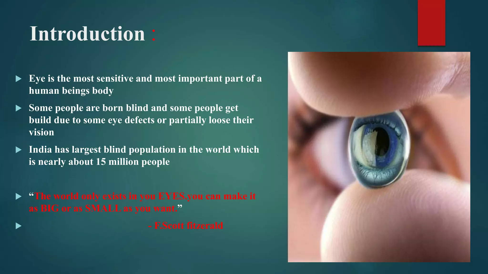 Bionic eye.pptx