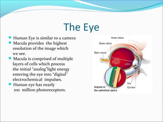 Bionic eye soft copy (2) | PPT