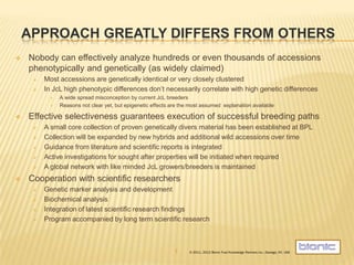 APPROACH GREATLY DIFFERS FROM OTHERS
   Nobody can effectively analyze hundreds or even thousands of accessions
    phenotypically and genetically (as widely claimed)
        Most accessions are genetically identical or very closely clustered
        In JcL high phenotypic differences don‟t necessarily correlate with high genetic differences
              A wide spread misconception by current JcL breeders
              Reasons not clear yet, but epigenetic effects are the most assumed explanation available

   Effective selectiveness guarantees execution of successful breeding paths
        A small core collection of proven genetically divers material has been established at BPL
        Collection will be expanded by new hybrids and additional wild accessions over time
        Guidance from literature and scientific reports is integrated
        Active investigations for sought after properties will be initiated when required
        A global network with like minded JcL growers/breeders is maintained
   Cooperation with scientific researchers
        Genetic marker analysis and development
        Biochemical analysis
        Integration of latest scientific research findings
        Program accompanied by long term scientific research



                                                              7     © 2011, 2012 Bionic Fuel Knowledge Partners Inc., Oswego, NY, USA
 