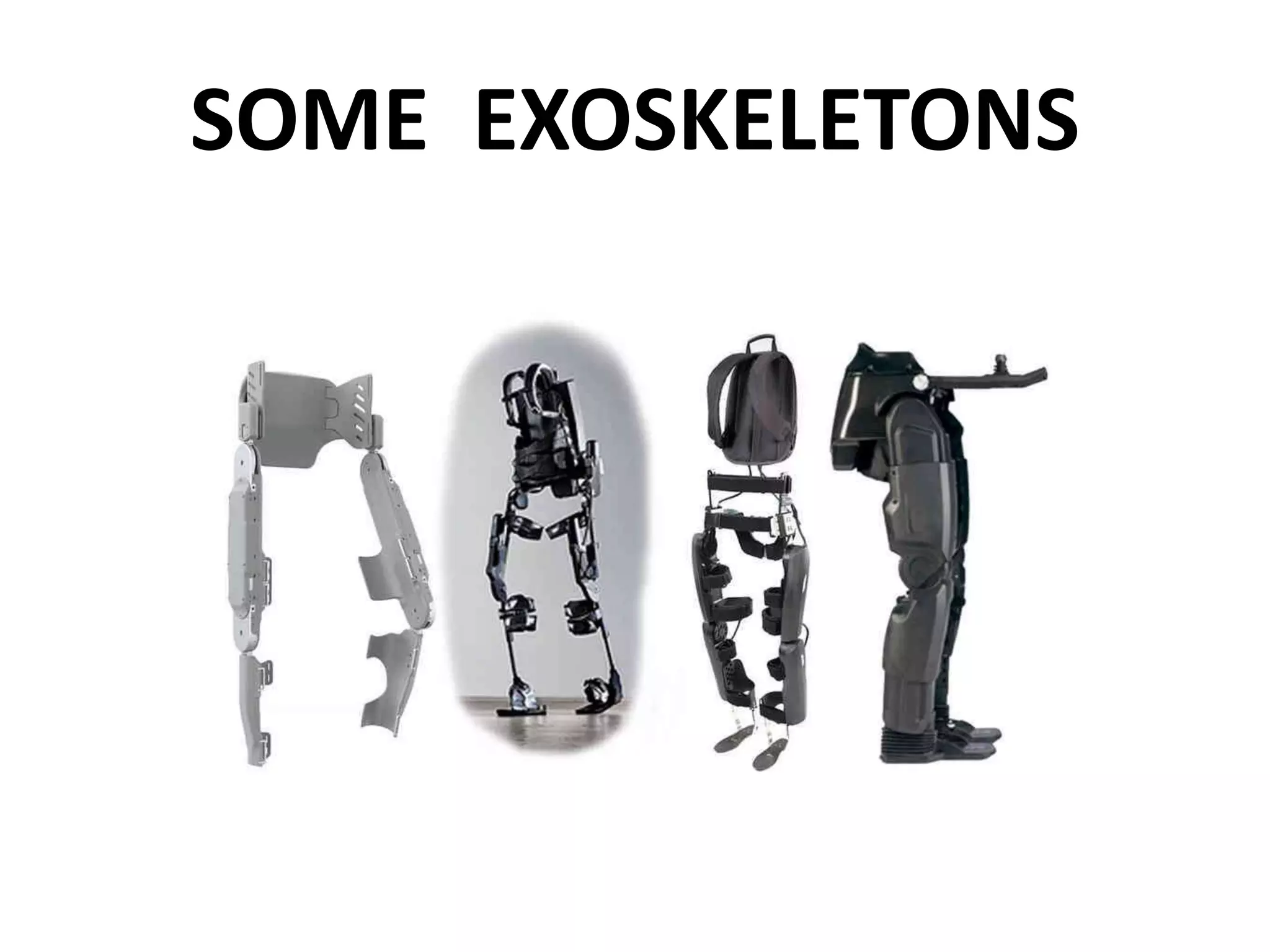 SOME EXOSKELETONS
 