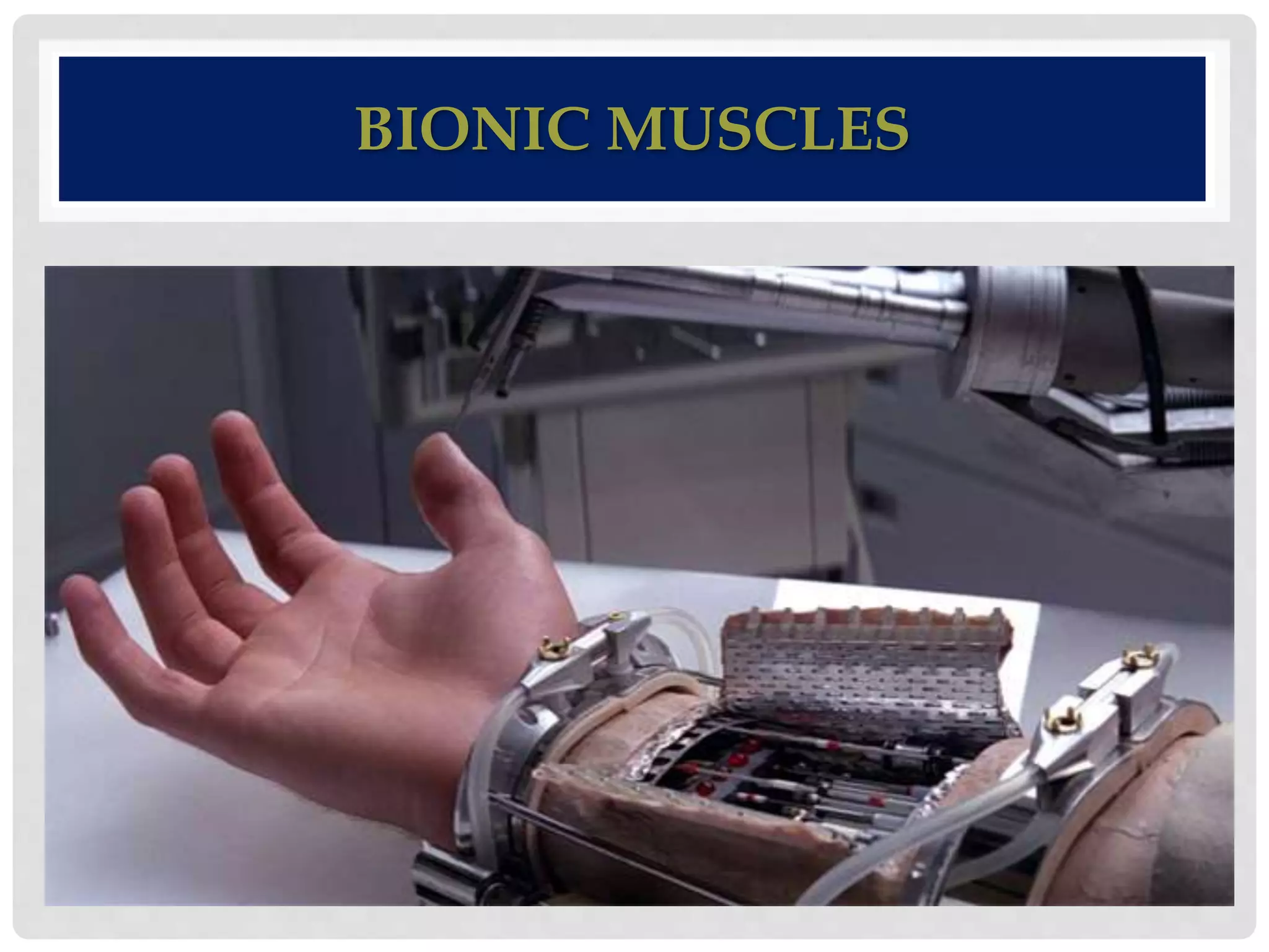 BIONIC MUSCLES 
 