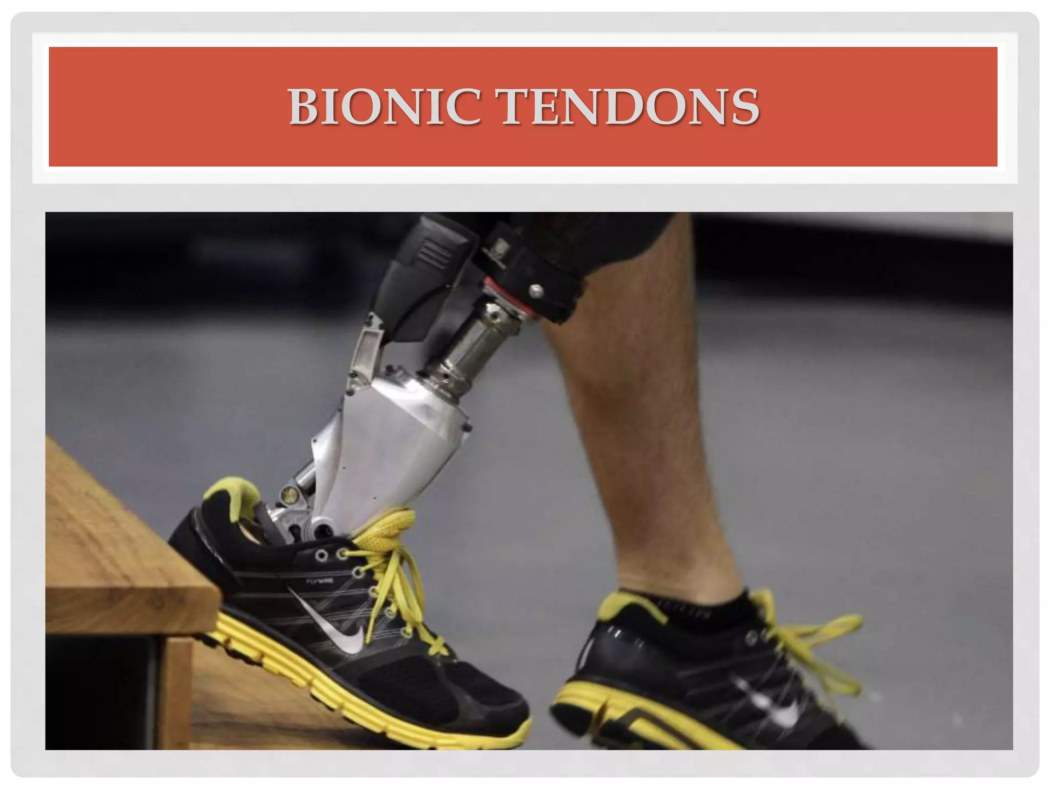 BIONIC TENDONS 
 