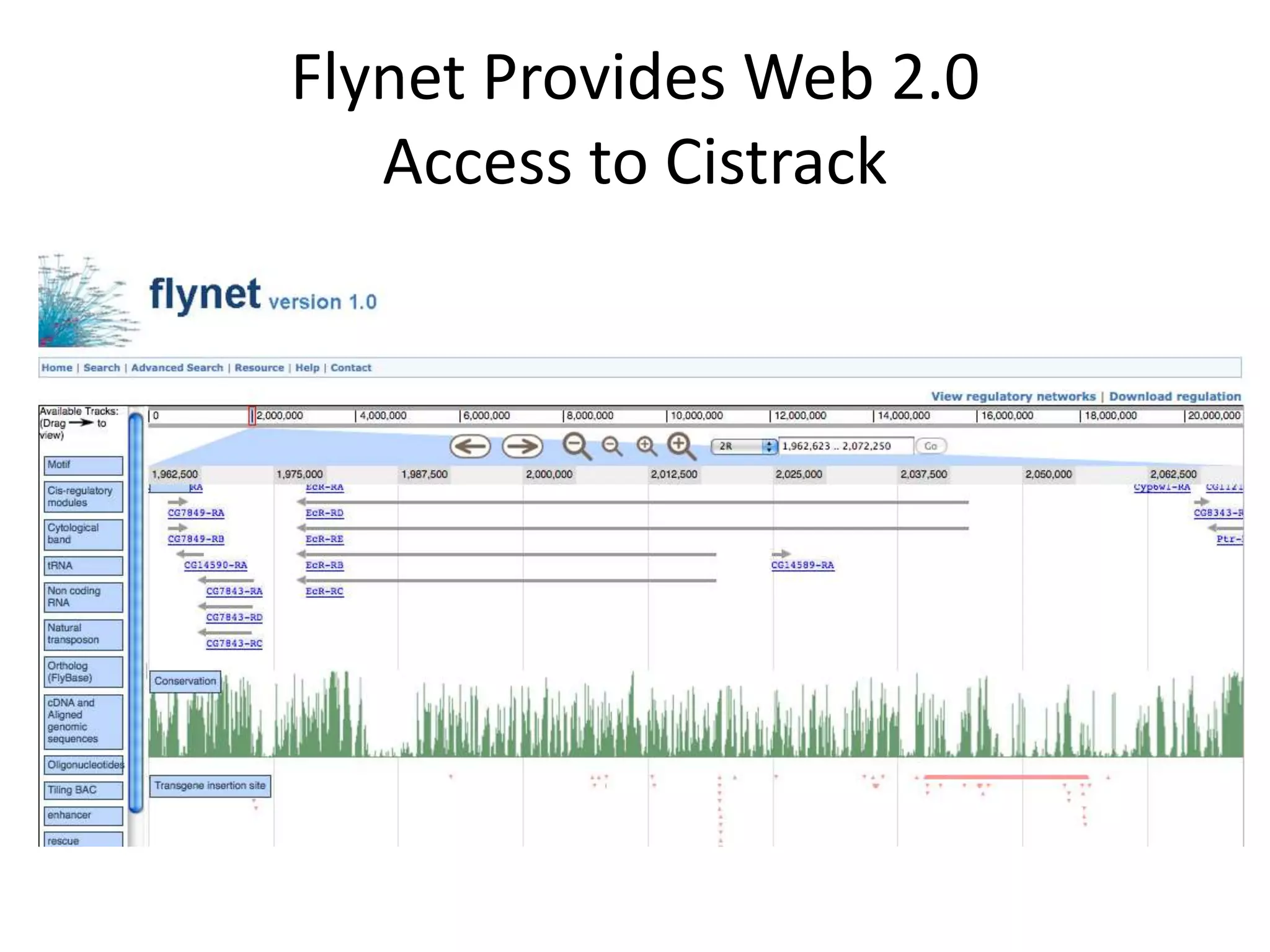 Flynet Provides Web 2.0 Access to Cistrack