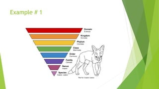 Bionomial nomanclature | PPTX