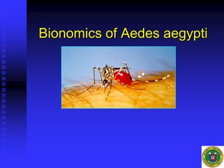 Bionomics of Aedes aegypti
 