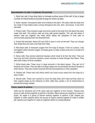 Specialization of cells 1-4 (plants) 5-9 (animal)
1. Root hair cell: It has long hairs to increase surface area of the cell. It has a large
number of mitochondria to provide energy for active up take.
2. Xylem vessels: It transports water and minerals to the plant. The xylem cells are dead and
are made of long hollow tubes running throughout the root, stem, and leaves. It has thick
cell walls.
3. Phloem cells: They transport sugar and amino acids to the body from the place they were
made (the leaf). The phloem cells are long cells joined together. The cell wall where 2
phloem cells join together has holes which allows the cytoplasm of both cells to
communicate passing down the dissolved food.
4. Guard cell (stomata): Allows O2 and CO2 to pass in and out the leaf. They can change
their shape thus can open and close their holes.
5. Red blood cells: It transports oxygen from the lungs to tissues. It has no nucleus, t has
hemoglobin which absorbs oxygen, its shape gives it a high surface area and it is small to fit
in capillaries.
6. Nerve cells: they conduct electrical impulses which travel to & from the brain. They are
very long and their chemical reactions cause impulses to travel through their fibers. They
also have a layer of fat for insulation.
7. White blood cells: These occur in large amounts in the blood stream. They get rid of
bacteria and viruses. They are able to change shape and can penetrate the blood vassals to
enter tissues. They also contain enzymes that kill microorganisms in their cytoplasm.
8. Ciliared cell: These have cilia (hairs) which can move mucus away from the lungs by a
wavy motion.
9. Muscle cells: These cam contract to move the body (they don’t relax but they return to
their original shape by the influence of other cells) they contain a lot of mitochondria to
provide the energy needed.
Tissue, organs & systems
Cells are the structural unit of life many cells join together to form tissues. Tissues area
group of cells working together to perform a function. Many tissues join together to make an
organ. An organ is a group of tissues working together to perform a job. Organs join
together to make systems which are groups of organs working together to make a certain
job. Systems join together to make an organism which is a living individual.
 