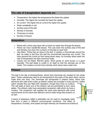 The rate of transpiration depends on:
• Temperature: the higher the temperature the faster the uptake
• Humidity: The higher the humidity the lower the uptake
• Air current: The higher the air current the higher the uptake
• Water availability in soil
• Surface area of the leaf
• Density of stomata
• Thickness of cuticle
• Number of leaves
Adaptation
• Plants with a thick waxy layer will cut down on water loss through the leaves.
• Plants can have needle-like leaves. This cuts down the surface area of the leaf
and thereby cuts down the numbers of stomata on each leaf.
• -like fibers. These trap air close to the leaf. It creates a microclimate around the
leaf. As water is lost from the leaf the microclimate becomes very humid. The
hairs prevent this humid air from being blown away. As humidity slows down the
rate of transpiration the leaf conserves water.
• Leaves can be folded. Marram grass, which grows on sand dunes, is a good
example. The leaf blade is curled in on itself so that the stomata are on the
inside. This creates a humid micro-climate which slows down water loss
Phloem
The leaf is the site of photosynthesis, where food chemicals are created for the whole
plant. These substances need to be transported to the parts of the plant which cannot
make their own food. The chemicals are transported in phloem tubes. Sieve tube
elements (the cells which make up phloem tubes) are arranged in long columns. Unlike
xylem vessels they are filled with cytoplasm, though they have no nucleus.
The cell walls at each end of the phloem cell are perforated to form sieve
plates. The phloem cells have associated companion cells which do have a
nucleus. The companion cell supplies the sieve tube elements with some
requirements as the sieve tube element cannot make things like proteins on
its own.
A piece of apparatus called a potometer can be used to investigate water
loss from a plant in different environmental conditions. The effect of
temperature, humidity, wind speed and light intensity can therefore be looked at.
 