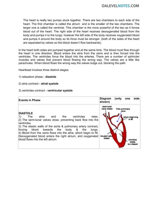 The heart is really two pumps stuck together. There are two chambers to each side of the
heart. The first chamber is called the atrium and is the smaller of the two chambers. The
larger one is called the ventricle. This chamber is the more powerful of the two as it forces
blood out of the heart. The right side of the heart receives deoxygenated blood from the
body and pumps it to the lungs, however the left side of the body receives oxygenated blood
and pumps it around the body so its force must be stronger. (both of the sides of the heart
are separated by valves so the blood doesn’t flow backwards).
In the heart both sides are pumped together and at the same time. The blood must flow through
the heart in one direction. Blood enters the atria from the veins and is then forced into the
ventricles. The ventricles force the blood into the arteries. There are a number of sphincter
muscles and valves that prevent blood flowing the wrong way. The valves are a little like
parachutes. When blood flows the wrong way the valves bulge out, blocking the path.
Heartbeat involves three distinct stages:
1) relaxation phase - diastole
2) atria contract - atrial systole
3) ventricles contract - ventricular systole
Events in Phase
Diagram (only one side
shown)
DIASTOLE
1) The atria and the ventricles relax.
2) The semi-lunar valves close, preventing back flow into the
ventricles.
3) The elastic walls of the aorta & pulmonary artery contract,
forcing blood towards the body & the lungs.
4) Blood from the veins flows into the atria, which begin to fill.
Deoxygenated blood enters the right atrium, and oxygenated
blood flows into the left atrium.
 