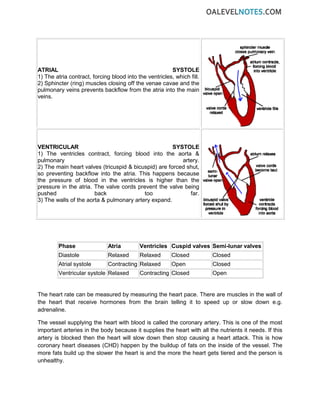 ATRIAL SYSTOLE
1) The atria contract, forcing blood into the ventricles, which fill.
2) Sphincter (ring) muscles closing off the venae cavae and the
pulmonary veins prevents backflow from the atria into the main
veins.
VENTRICULAR SYSTOLE
1) The ventricles contract, forcing blood into the aorta &
pulmonary artery.
2) The main heart valves (tricuspid & bicuspid) are forced shut,
so preventing backflow into the atria. This happens because
the pressure of blood in the ventricles is higher than the
pressure in the atria. The valve cords prevent the valve being
pushed back too far.
3) The walls of the aorta & pulmonary artery expand.
Phase Atria Ventricles Cuspid valves Semi-lunar valves
Diastole Relaxed Relaxed Closed Closed
Atrial systole Contracting Relaxed Open Closed
Ventricular systole Relaxed Contracting Closed Open
The heart rate can be measured by measuring the heart pace. There are muscles in the wall of
the heart that receive hormones from the brain telling it to speed up or slow down e.g.
adrenaline.
The vessel supplying the heart with blood is called the coronary artery. This is one of the most
important arteries in the body because it supplies the heart with all the nutrients it needs. If this
artery is blocked then the heart will slow down then stop causing a heart attack. This is how
coronary heart diseases (CHD) happen by the buildup of fats on the inside of the vessel. The
more fats build up the slower the heart is and the more the heart gets tiered and the person is
unhealthy.
 
