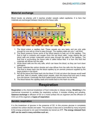 Material exchange
Blood travels via arteries until it reaches smaller vessels called capillaries. It is here that
materials are exchanged between blood and the tissue cells.
1. The blood enters a capillary bed. These vessels are very leaky and are only wide
enough for one cell at a time to pass through. The capillary walls are only 1 cell thick!
2. The blood pressure forces some of the blood plasma to leak out of the capillary. This
fluid is high in nutrients and oxygen (from the red blood cells). Large objects like red
blood cells and protein molecules cannot pass through the walls of the capillary. The
fluid that is surrounding the tissue cells is called tissue fluid. It is from this fluid that
materials will diffuse into the cells.
3. White blood cells are the only cells, which can leave the blood, so they can hunt down
pathogens.
4. Waste materials like carbon dioxide and urea diffuse from the cells into the tissue fluid.
This fluid is drawn back into the blood capillary by an osmotic pressure supplied by the
large proteins in the blood.
5. Not all the tissue fluid flows back into the blood. If it did not return the tissues would swell
with fluid. Sets of vessels, called lymph vessels, drain this tissue fluid and carry it away
from the tissues. Eventually the fluid (called lymph) drains back into the blood.
6. The blood leaves the capillary beds and travels back to the heart via veins.
Respiration
Respiration is the chemical breakdown of food molecules to release energy. Breathing is the
mechanical movement to ventilate the respiratory surface, it includes inhaling and exhaling.
Gaseous exchange is diffusion of O2 on a moist surface into an organism and the diffusion of
CO2 out of the organism. 2 types of respiration:
Aerobic respiration
It is the breakdown of glucose in the presence of O2. In this process glucose is completely
oxidized into carbon dioxide and water. This process is slow and is controlled by many enzymes
& the energy produced is not used immediately but stored as ATP. The energy released from
ADP can be used in many activities such as ;
 