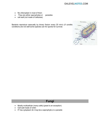 • No chloroplast in most of them
• They are either saprophytes or parasites
• cell wall (not made of cellulose)
Bacteria reproduce asexually by binary fission every 20 min’s (if conditions are suitable) IF
conditions are not well some species can for spores for survival.
Fungi
• Mostly multicellular (many cells) (yeast is an exception)
• Cell wall made of chitin
• IT has cytoplasm & it may be a saprophyte or a parasite
 