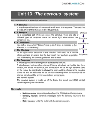 Unit 13 :The nervous system
Any nervous action is a result of a stimulus.
• A Stimulus
is any change either internal or external which leads to a response. This could be
a noise, smell or the changes in blood sugar level.
• A Receptor
is a specialized cell which can sense the stimulus. There are lots of
different types of receptors; some can sense light, while others can
sense heat etc.
• A Coordinator
is a cell or organ which 'decides' what to do. It gives a message to the
effectors to do something.
• The Effectors
is an organ which responds to the stimulus. This could be a muscle
which contracts or organs like the liver which may perform a complex
task like lowering the blood sugar levels after a meal.
• The Response
is what happens when the organism reacts to the stimulus.
A stimulus cam be internal or external. External stimulus’s can be like light from
the sun, this will be the stimulus, and the receptor will be the light sensitive cells
on the retina, the coordinator is always the brain and the effecter is the muscles
of the iris and the response will be the iris narrowing down. An example of an
internal stimulus will be an increase in body temperature.
The nervous system
The nervous system is made up of the Brain, the spinal cord (CNS central
nervous system) and the nerves.
Nerve cells
• Motor neurons: transmit impulses from the CNS to the effecter muscle
• Sensory neuron: transmits messages from the sensory neuron to the
CNS
• Relay neuron: Links the motor with the sensory neuron.
 