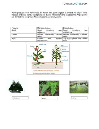 Plants produce seeds from inside the flower. The plant kingdom is divided into algae, ferns,
mosses, and seed plants. Seed plants are divided into conifers and angiosperms. Angiosperms
are devided into two groups Monocotyledons and Dicotyledons.
Feature Monocotyledons Dicotyledons
Seed Seed containing one
cotyledon
Seed containing two
cotyledons
Leaves Leaves containing parallel
veins
Leaves containing branched
veins
Root Fibrous root system
(adventitious)
Tap root system with lateral
roots.
Conifers Ferns Algae
 