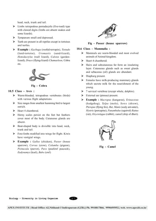 head, neck, trunk and tail.
Ø Limbs tetrapodous pentadacytle (five-toed) type
with clawed digits (limbs are absent snakes and
some lizards).
Ø Tympanum small and depressed.
Ø Teeth are present in all reptiles except in tortoises
and turtles.

Fig - Passer (house sparrow)
10.6 Class - Mammalia :

Ø Example : Kachuga (roofed-terrapin), Testudo
(land-tortoise), Uromastix (sand-lizard),
Hemidactylus (wall lizard), Calotes (gardenlizard), Draco (flying-lizard) Chamaeleon, Cobra
etc.

Ø Mammals are warm-blooded and most evolved
animals of Animal kingdom.
Ø Heart 4 chambered.
Ø Hairs and subcutaneous fat form an insulating
layer. Cutaneous glands such as sweat glands
and sebaceous (oil) glands are abundant.
Ø Diapharg present.
Ø Females have milk-producing mammary glands
which secrete milk for the nourishment of the
young.

Fig - Cobra
10.5 Class - Aves :

Ø 7 servical vertebrae (except whale, dolphin).
Ø External ear (pinnae) present.

Ø Warm-blooded, tetrapodous vertebrates (birds)
with various flight adaptations.

Ø Example : Macropus (kangaroo), Erinaceous
(hedgehog), Talpa (mole), Sorex (shrew),
Pteropus (flying fox), Bat, Manis (scaly ant-eater),
Hystrix (porcupine), Funambulus (squirrel) Rattus
(rat), Oryctolagus (rabbit), camel (ship of dbert).

Ø Size ranges from smallest humming bird to largest
ostrich.
Ø Heart 4 chambered.
Ø Horny scales persist on the feet but feathers
cover most of the body. Cutaneous glands are
absent.
Ø Boat-shaped body is divisible into head, neck,
trunk and tail.
Ø Fore-limbs modified into wings for flight. Kiwis
have vestigial wings.
Ø Example : Gallus (chicken), Passer (house
sparrow), Corvus (crow), Columba (pigeon),
Psittacula (parrot), Pavo (peafowl peacock),
Eudynamys (koel), Bubo (owl)

Biology - Diversity in Living Organism

Fig - Camel

47

 