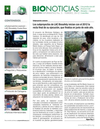 BIONOTICIAS
                                                                                              Una producción del
                                                                                              Proyecto LAC
                                                                                              Biosafety – Capítulo
                                                    BOLETIN INFORMATIVO No. 3 - FEBRERO, 2012 Costa Rica


CONTENIDOS                                          Subproyectos avanzan

                                                    Los subproyectos de LAC Biosafety inician con el 2012 la
>Subproyectos avanzan -
LAC Biosafety-Costa Rica                            recta final de su ejecución, que finaliza en junio de este año.
                                                    El proyecto de Monitoreo Biológico de
                                                    Aves, a cargo de la ornitóloga M.Sc. Paola
                                                    Gastezzi, ha identificado ya más de 100
                                                    especies de aves, entre acuáticas y te-
                                                    rrestres, en los muestreos realizados en
                                                    los humedales donde se localiza el arroz
                                                    silvestre, caso específico de la Reserva
                                   Pág.1            Medio Queso y el Parque Caño Negro, en
                                                    la zona norte del país. Esta actividad con-
>Bioalfabetización                                  tinua en los siguientes meses junto al re-
                                                    gistro y comparación con datos previos de
                                                    las aves que habitan estos espacios, sea
                                                    para descanso, alimentación o bien para
                                                    hábitat permanente.

                                                    En cuanto al subproyecto de Flujo de Ge-
                                                    nes, a cargo de la Máster Griselda Arrieta
                                                    Espinoza, se han realizado diversas labo-
                                   Pág.2            res con el arroz maleza y el arroz silvestre.
                                                    En el primer caso, se realizó la recolec-
>Preguntas y Respuestas
                                                    ta e identificación morfológica de plantas
                                                    de arroz maleza que sobrevivieron a la
                                                    aplicación de herbicida imidazolinona en
                                                    campos comerciales de arroz. Además, se
                                                    hizo la caracterización reproductiva de es-     Durante la medición quincenal de las plantas
                                                    tos híbridos. Actualmente, con estas plan-      de arroz, en el invernadero.
                                                    tas se están llevando a cabo experimentos
                                                                                                    en las localidades del Rio Medio Queso en
                                                    para entender que tan competitivas son
                                                                                                    Los Chiles y en Guanacaste. Este material
                                                    las plantas de arroz maleza resistentes al
                                   Pág.3            herbicida en comparación con aquellas
                                                                                                    sirvió de base para los estudios sobre la
                                                                                                    identidad genética de la especie silvestre
>Protocolo de Cartagena                             susceptibles al herbicida y determinar si
                                                                                                    de arroz en nuestro país que se está rea-
                                                    hubo algún grado de penalización en el
                                                                                                    lizando en el laboratorio. También impor-
                                                    crecimiento de estas plantas, debido a la
                                                                                                    tante para el proyecto fue el registro de las
                                                    adquisición de resistencia al herbicida.
                                                                                                    fechas de inicio y finalización de la flora-
                                                                                                    ción del arroz silvestre durante dos años.
                                                    Por otra parte, se realizaron cruces
                                                    manuales controlados en laboratorio entre
                                                                                                    Por su parte, el subproyecto que identifica
                                                    variedades resistentes al herbicida imi-
                                                                                                    los parasitoides asociados al arroz y el im-
                                                    dazolinona y plantas de arroz maleza con
                                                                                                    pacto de aplicaciones de insecticida Bt en
                                   Pág.4            la finalidad de estudiar la habilidad com-
                                                                                                    estas poblaciones de insectos, a cargo del
                                                    binatoria entre los materiales, y responder
                                                                                                    Dr. Paul Hanson, se encuentra en la eta-
>Noticias Internacionales                           que tan fácilmente se cruzan y cuáles ca-
                                                                                                    pa de clasificación de insectos obtenidos.
                                                    racterísticas morfológicas predominan en
                                                                                                    Los muestreos se realizaron en arrozales
                                                    los híbridos. Los estudios con el arroz sil-
                                                                                                    de Guanacaste y cerca de Parrita (Pacífico
                                                    vestre O. glumaepatula se enfocaron en
                                                                                                                                   Sigue Pág. 2
Para consultas escríbanos a proyectos@racsa.co.cr   el muestreo de plantas georeferenciadas

                                                                                                                        www.lacbiosafety.org
 