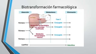 Biotransformación farmacológica
 