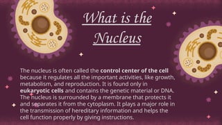 The Nucleus: The Cell's Small but Powerful Control Center Explained | PPTX