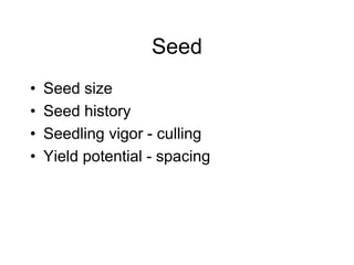 Seed
• Seed size
• Seed history
• Seedling vigor - culling
• Yield potential - spacing
 