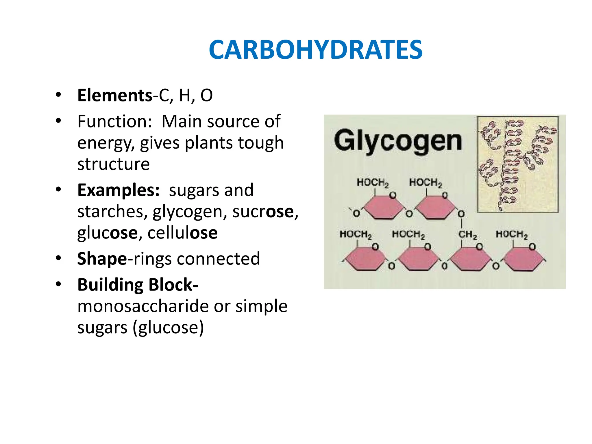 Bionutrients Theory Note on ppttxxx.pptx
