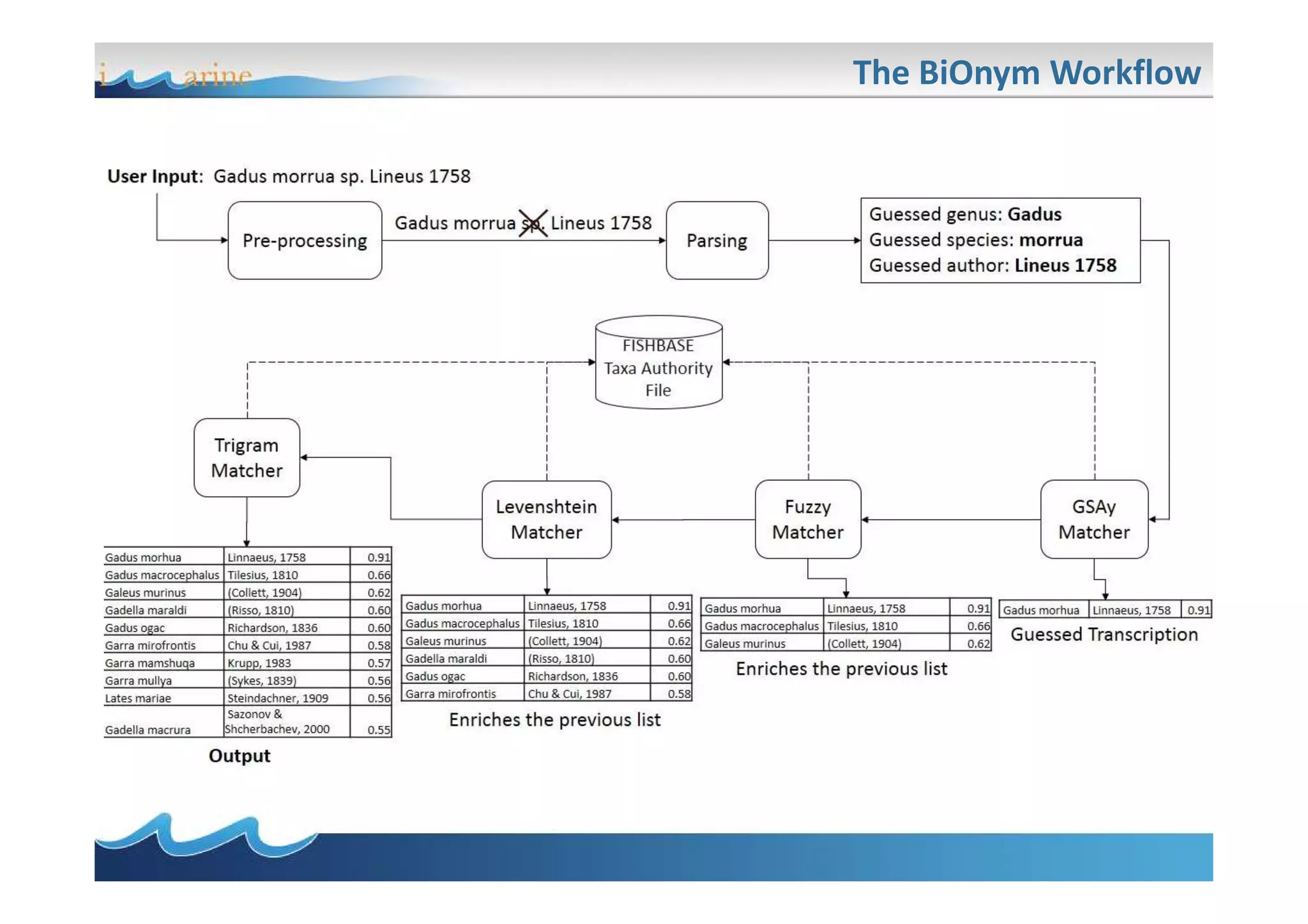 The BiOnym Workflow
 