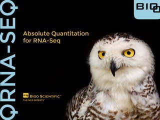 Absolute Quantitation
for RNA-Seq
 