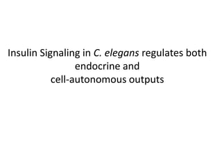 Insulin Signaling in C. elegans regulates both
endocrine and
cell-autonomous outputs
 