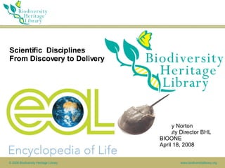Scientific  Disciplines From Discovery to Delivery Cathy Norton Deputy Director BHL BIOONE April 18, 2008 