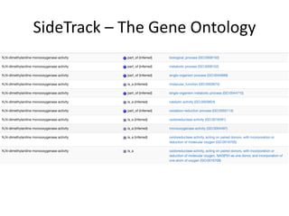 SideTrack – The	Gene	Ontology
 