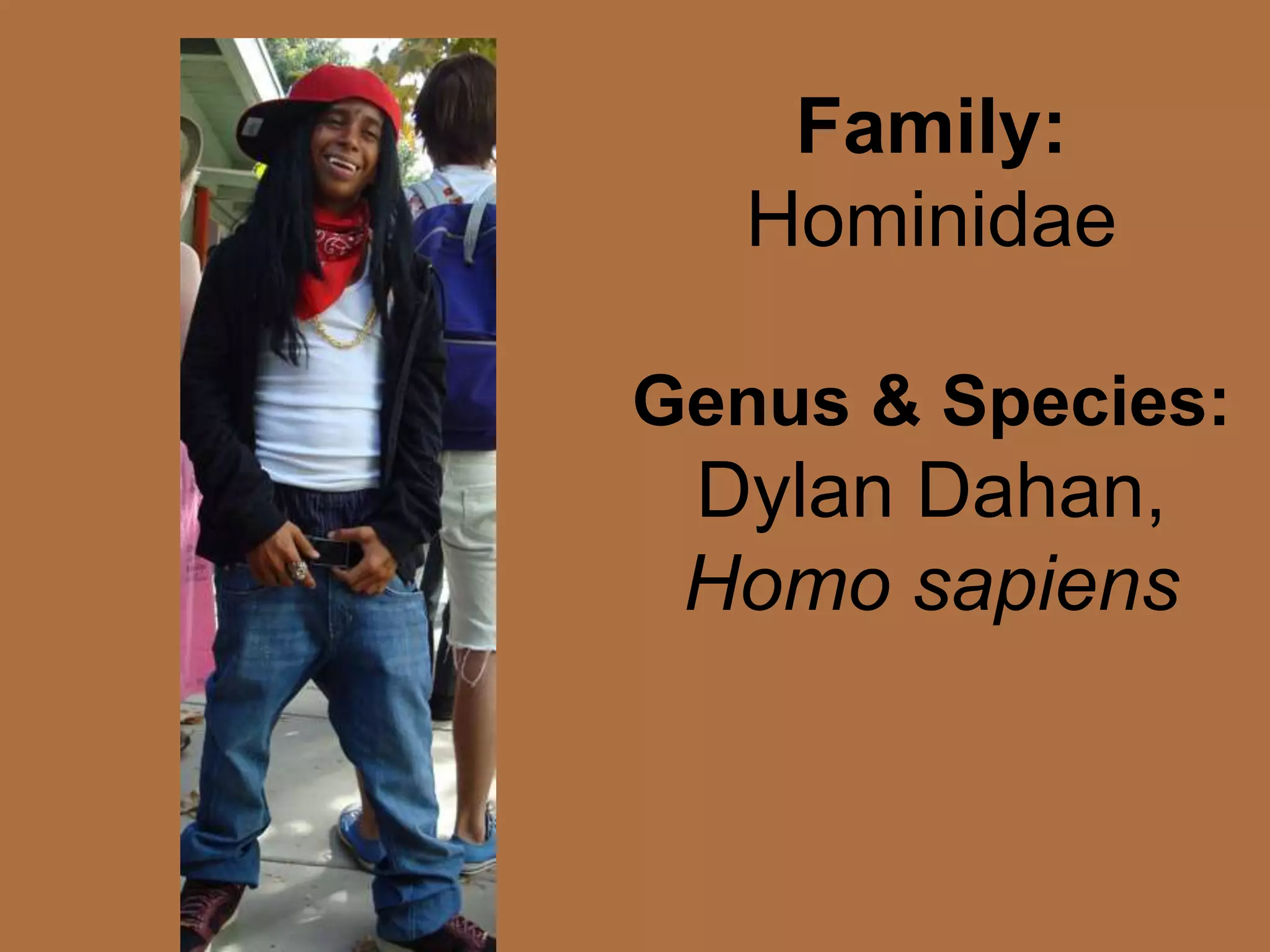 Family: HominidaeGenus & Species: Dylan Dahan, Homo sapiens