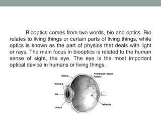Biooptic.pptxkerenbn fgfbfvsdfvdgfhgjhkgbfv | PPTX