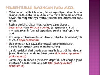  Mata dapat melihat benda, jika cahaya dipantulkan benda
sampai pada mata, kemudian lensa mata akan membentuk
bayangan yang sifatnya nyata, terbalik dan diperkecil pada
retina
 Retina berisi struktur indra cahaya yang disebut
batang(rod) dan kerucut ( cone), yang menerima dan
memancarkan informasi sepanjang serat syaraf optik ke
otak
 Kemampuan lensa mata untuk memfokuskan benda/obyek
disebut daya akomodasi
 Usia semakin tua daya akomodasi semakin menurun,
karena keelastisan lensa mata berkurang
 Jarak terdekat dari bneda agar masih dapat dilihat dengan
jelas dikatakan benda terletak pada titik dekat /punktum
proksimum(p)
 Jarak terjauh bneda agar masih dapat dilihat dengan jelas
dikatakan benda terletak pada titik jauh/punktum
remotum (r)
 