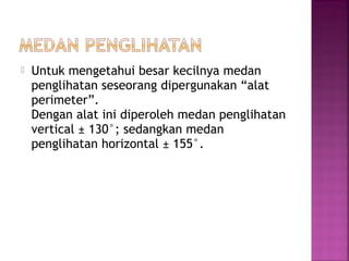  Untuk mengetahui besar kecilnya medan
penglihatan seseorang dipergunakan “alat
perimeter”.
Dengan alat ini diperoleh medan penglihatan
vertical ± 130°; sedangkan medan
penglihatan horizontal ± 155°.
 