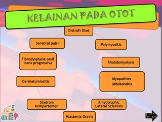 Distrofi Otot
Serebral palsi

Polymyositis

Fibrodysplasia ossif
icans progressiva

Rhabdomyolysis

Myopathies
Mitokondria

Dermatomiositis

Sindrom
kompartemen

Amyotrophic
Lateral Sclerosis
Miastenia Gravis

 