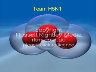 Team H5N1   