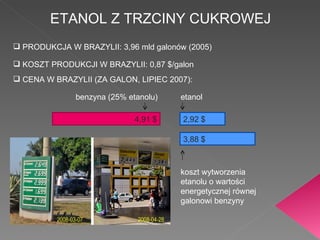 ETANOL Z TRZCINY CUKROWEJ PRODUKCJA W BRAZYLII: 3,96 mld galonów (2005)  KOSZT PRODUKCJI W BRAZYLII: 0,87 $/galon CENA W BRAZYLII (ZA GALON, LIPIEC 2007): 4,91 $ 2,92 $ 3,88 $ koszt wytworzenia etanolu o wartości energetycznej równej galonowi benzyny benzyna (25% etanolu) etanol 