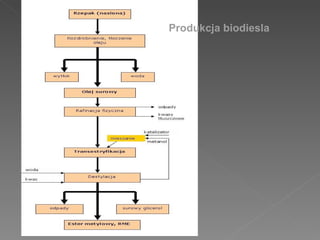 Produkcja biodiesla 