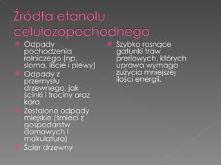 Odpady pochodzenia rolniczego (np. sloma, liście i plewy) Odpady z przemysłu drzewnego, jak ścinki i trociny oraz kora Zestalone odpady miejskie (śmieci z gospodarstw domowych i makulatura) Ścier drzewny Szybko rosnące gatunki traw preriowych, których uprawa wymaga zużycia mniejszej ilości energii. 